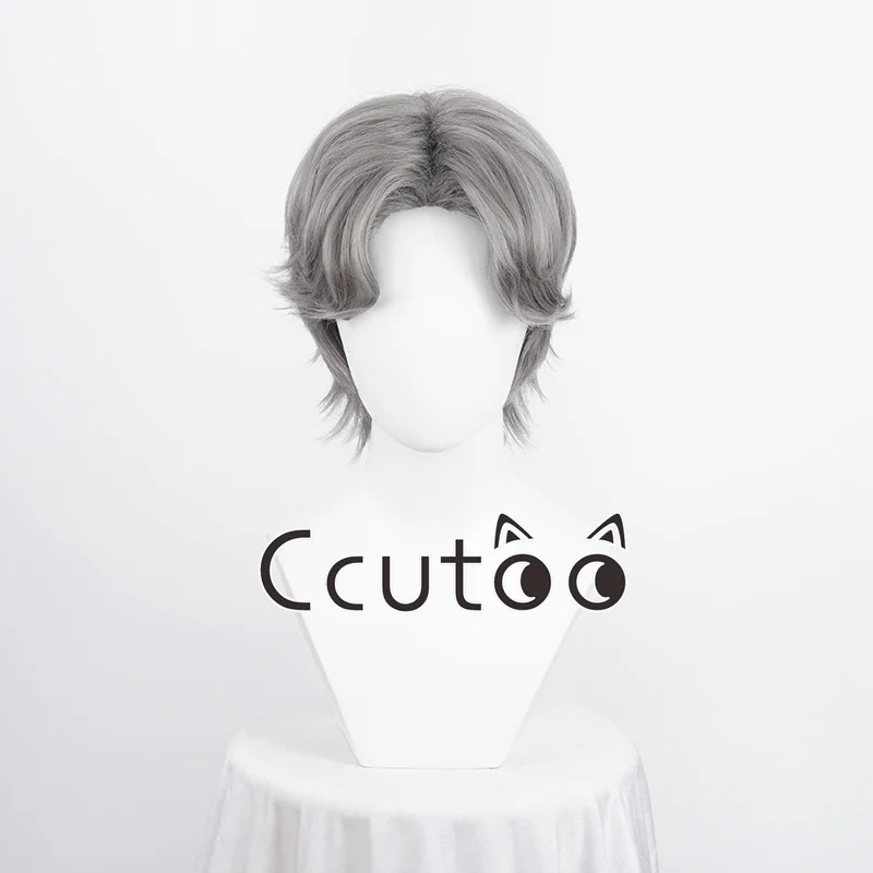 Anime Hayato Gokudera Cosplay Wig 33cm Grey Short Wigs Heat Resistant Synthetic Hair