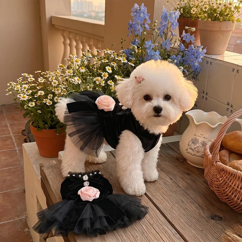 Vintage Black Velvet Tulle Pet Dress Pearl Trim Rose Bow Embellishment for Small Medium Pet Artistic Creative Photography Use