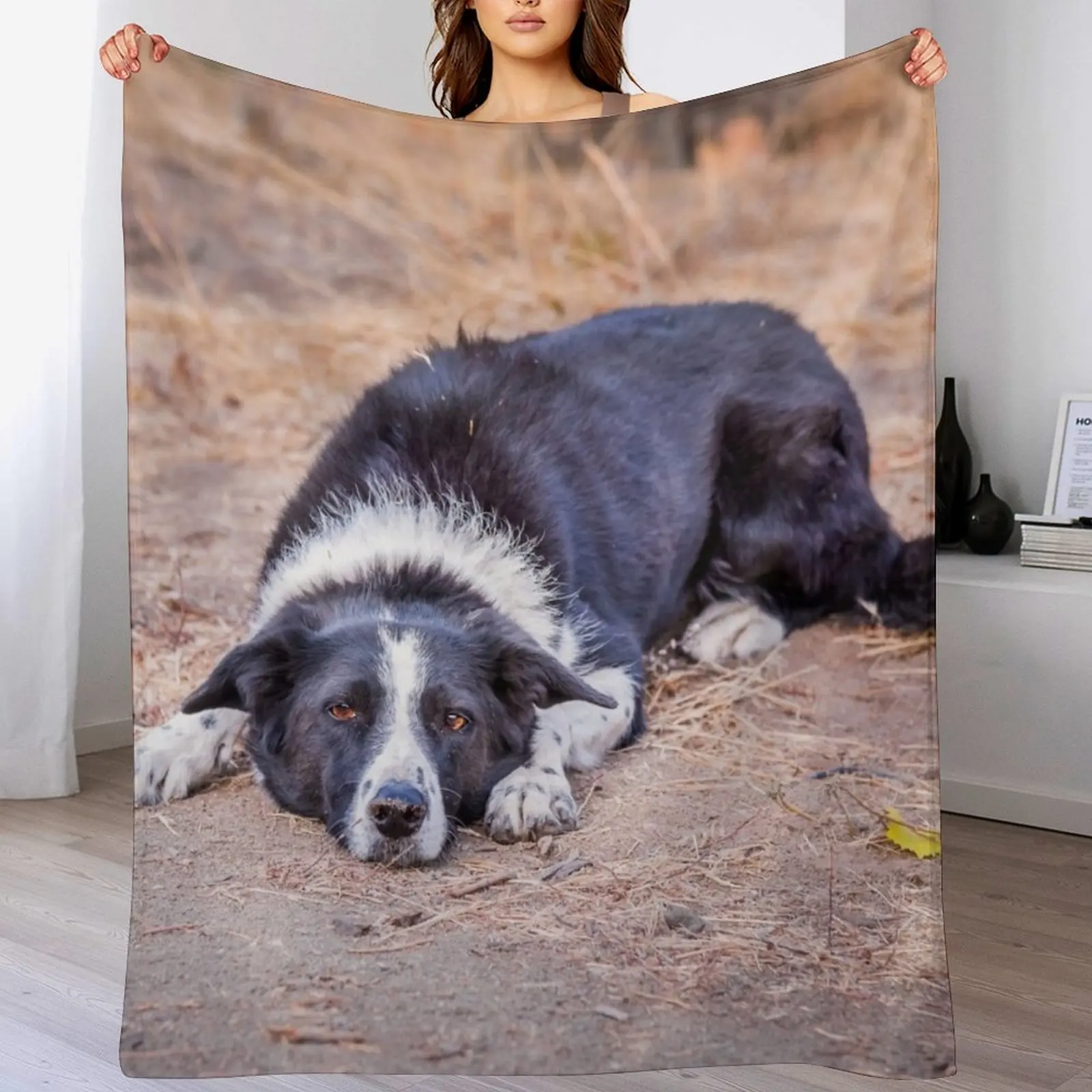 Cute Border Collie Lying on Ground Throw Blanket Custom Cute Blankets