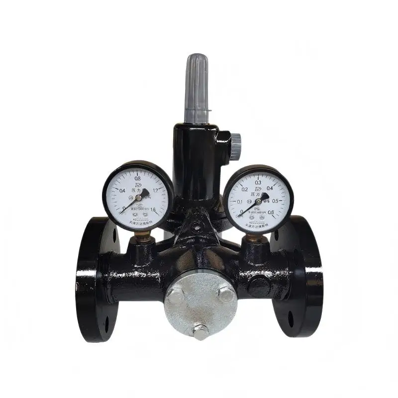 RTZ-50G gas pressure regulator DN50 natural gas pressure reducing valve, suitable for biogas, liquefied petroleum gas, coal gas