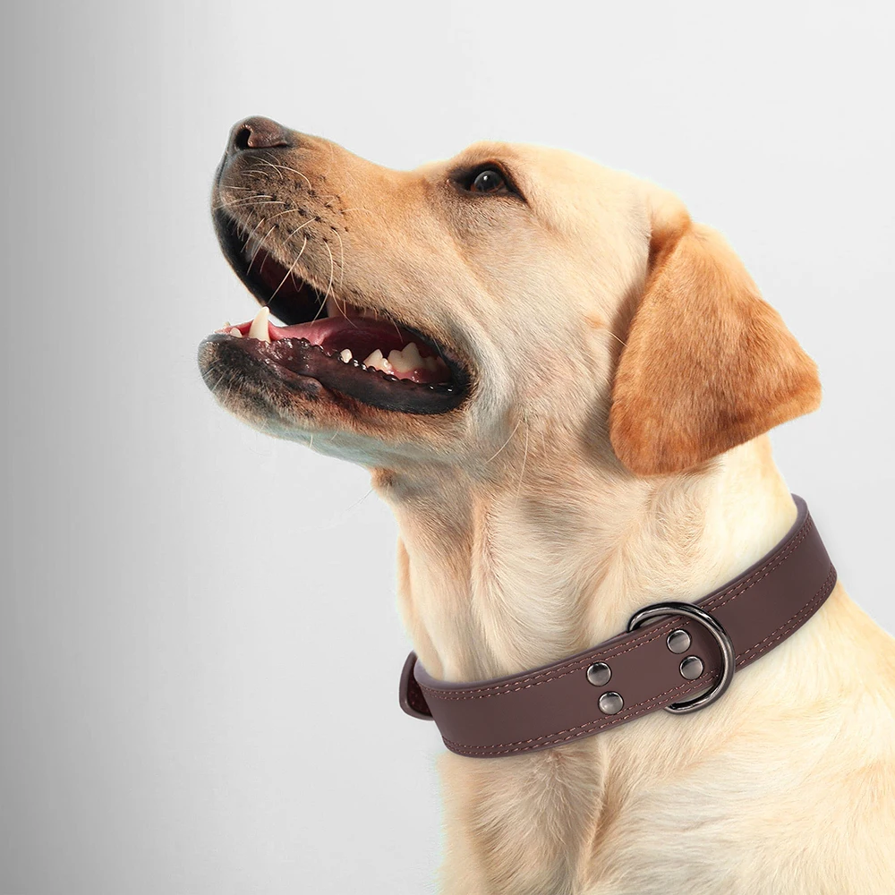 Zacht Duurzaam Echt Lederen Hondenhalsband Echt Lederen Halsbanden Voor Kleine Middelgrote Grote Honden Duitse Herder Bruin Zwart