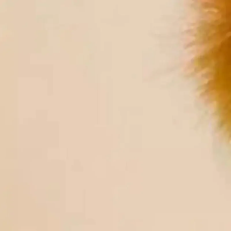 Chaveiro de Pelúcia Cavalo do Zodíaco Fofo, Boneco de Pelúcia Kawaii, Pingente para Bolsa, Decoração para Mochila, Presente de Ano Novo