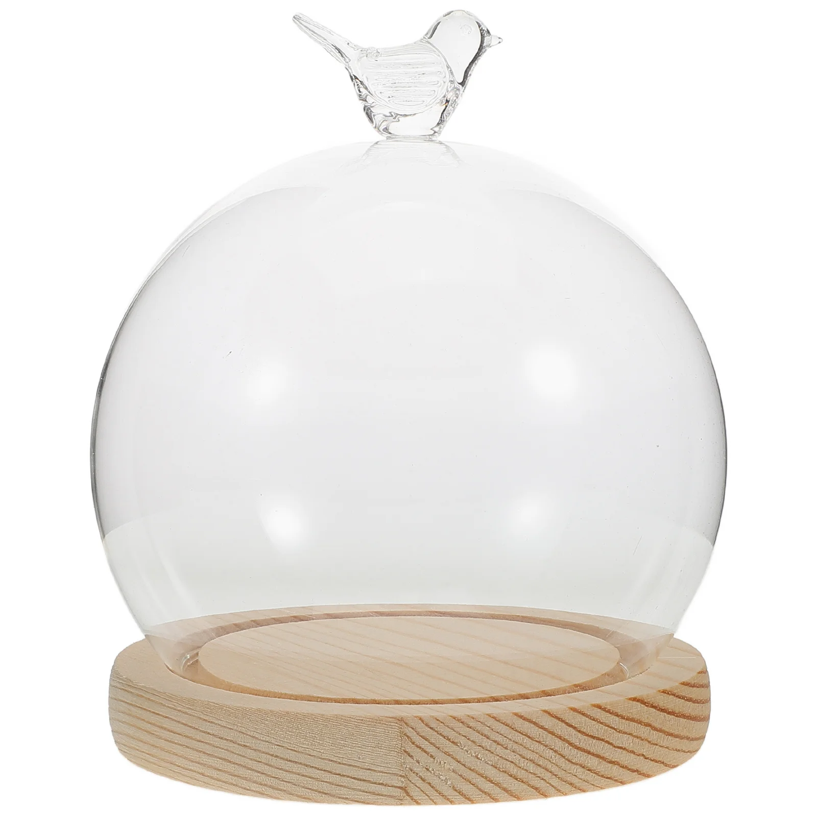 

Domes Glass Dust Cover Display with Base Eternal Flower Covers Wood Cloches for Plants
