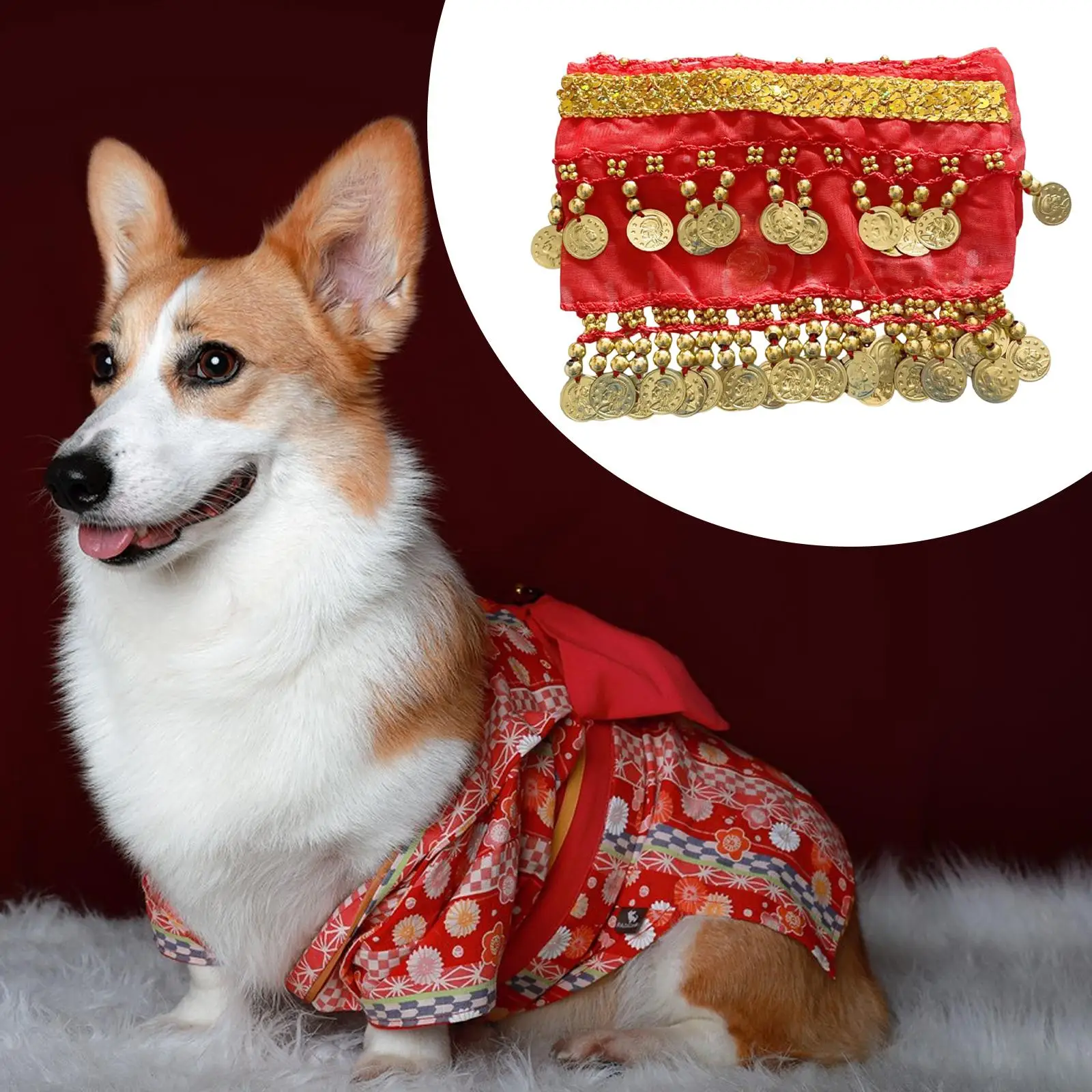 Funny Corgi Dog Belly Dancing Accessories Luxury Dog Dress for Playful Moments Pet Designer Clothing