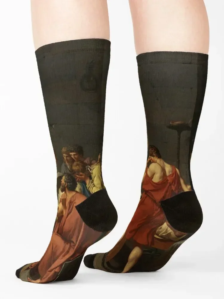 Jacques-Louis David Death of Socrates Socks Stockings aesthetic cool happy Ladies Socks Men's