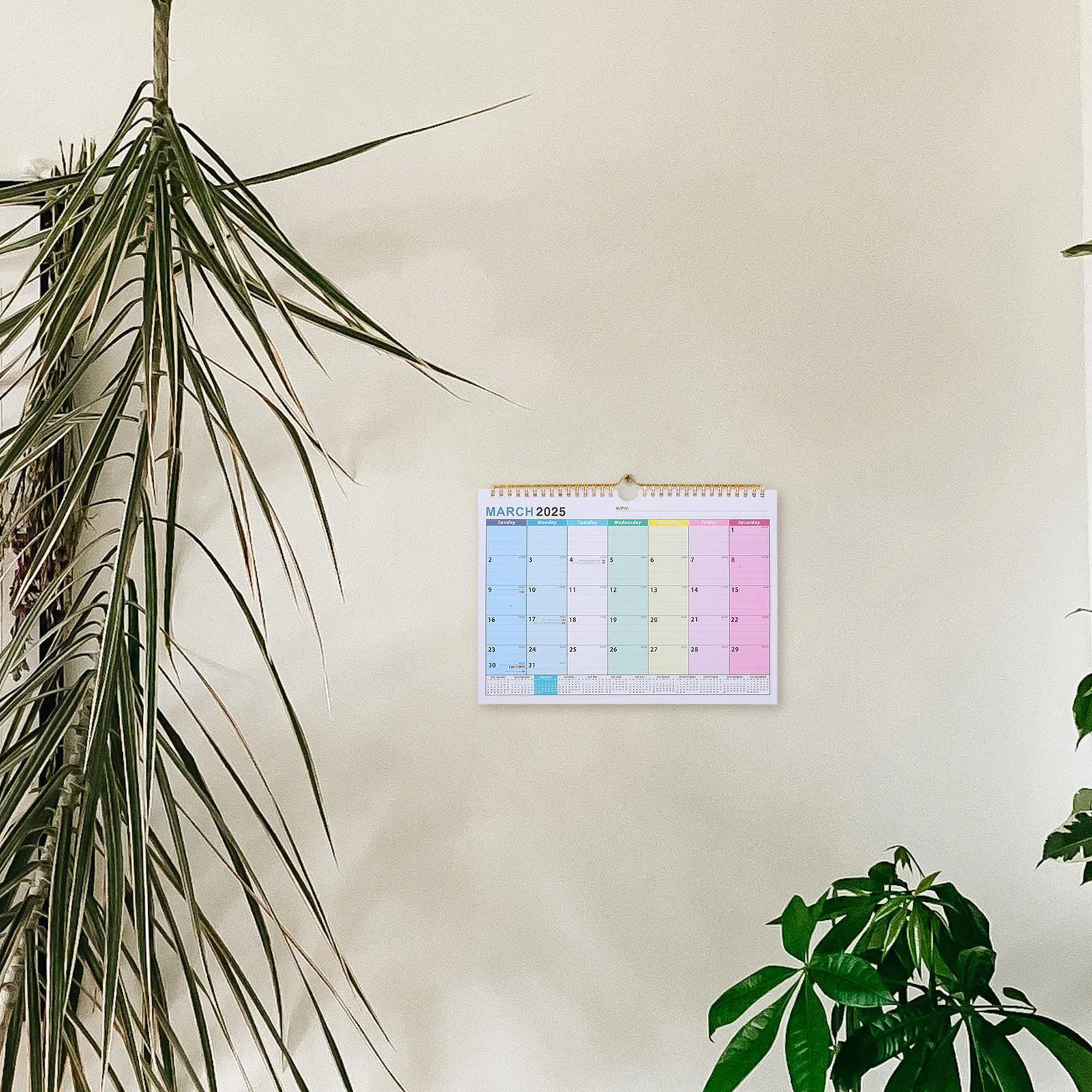 تقويم حائط 18 شهرًا 2025-2026 مخطط شهري كبير بسلك مزدوج ملزم معلق للمنزل والمكتب والمدرسة الدولية #5