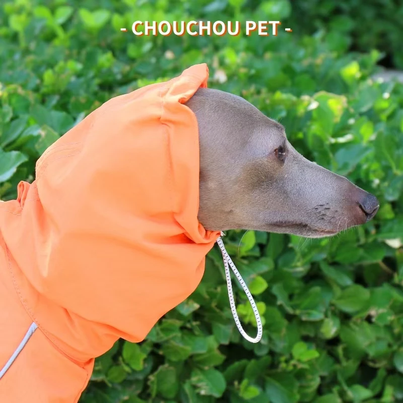 Chubasquero de galgo italiano, chaqueta para mascotas al aire libre de otoño e invierno, ropa para perros resistente al viento y a la lluvia