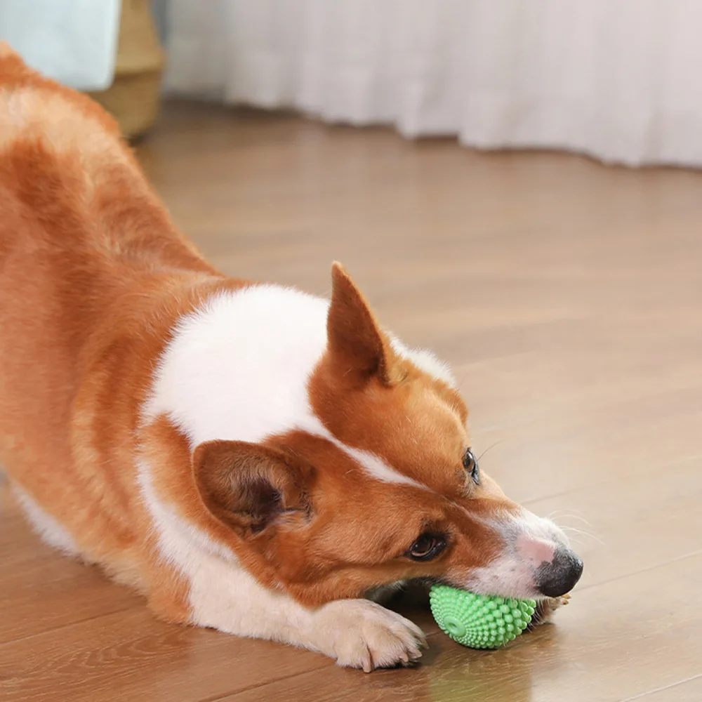 لعبة كرة الذرة التي تصدر صوتًا - لعبة مضغ لتنظيف الأسنان والمولي، لعبة لدغة مطاطية متينة وغير سامة،