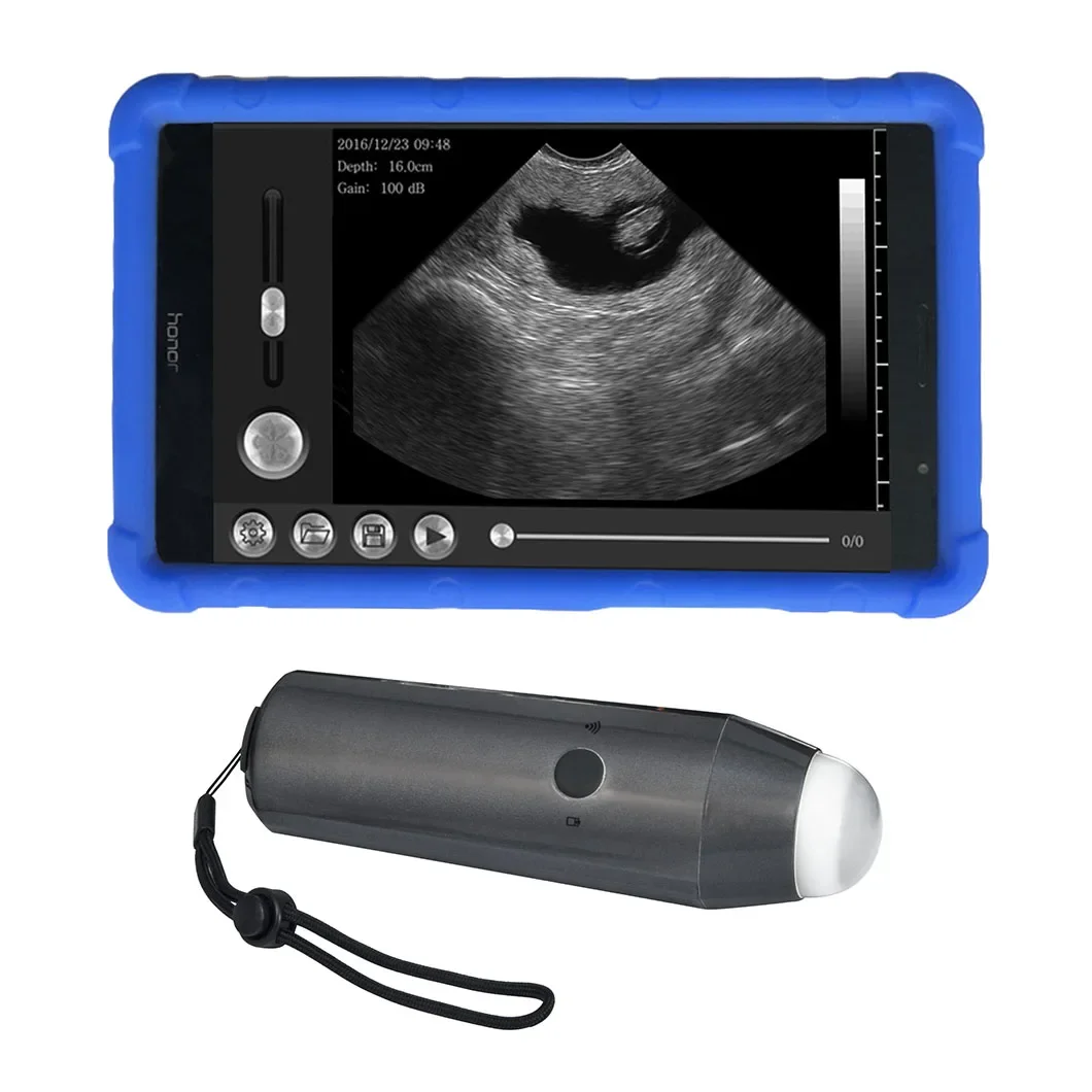 

WiFi Veterinary Waterproof Tablet-based Portable Ultrasound Probe for pig sheep goat fast detection