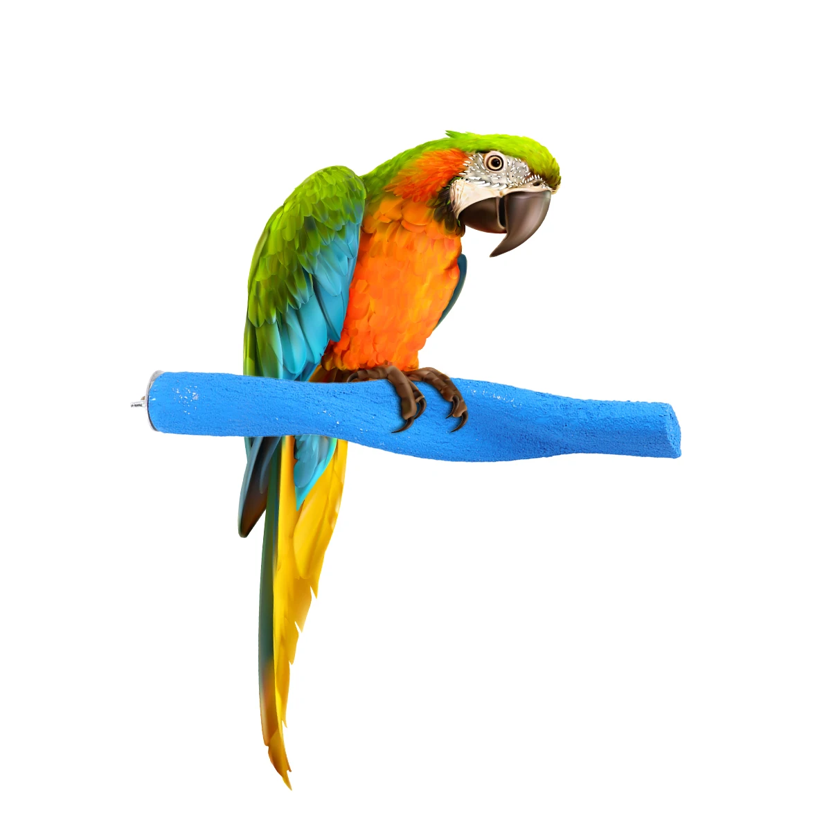 

Pet Supplies Scrub Stick Bird Cage Perch Bamboo Perches for Cages Grind Arenaceous
