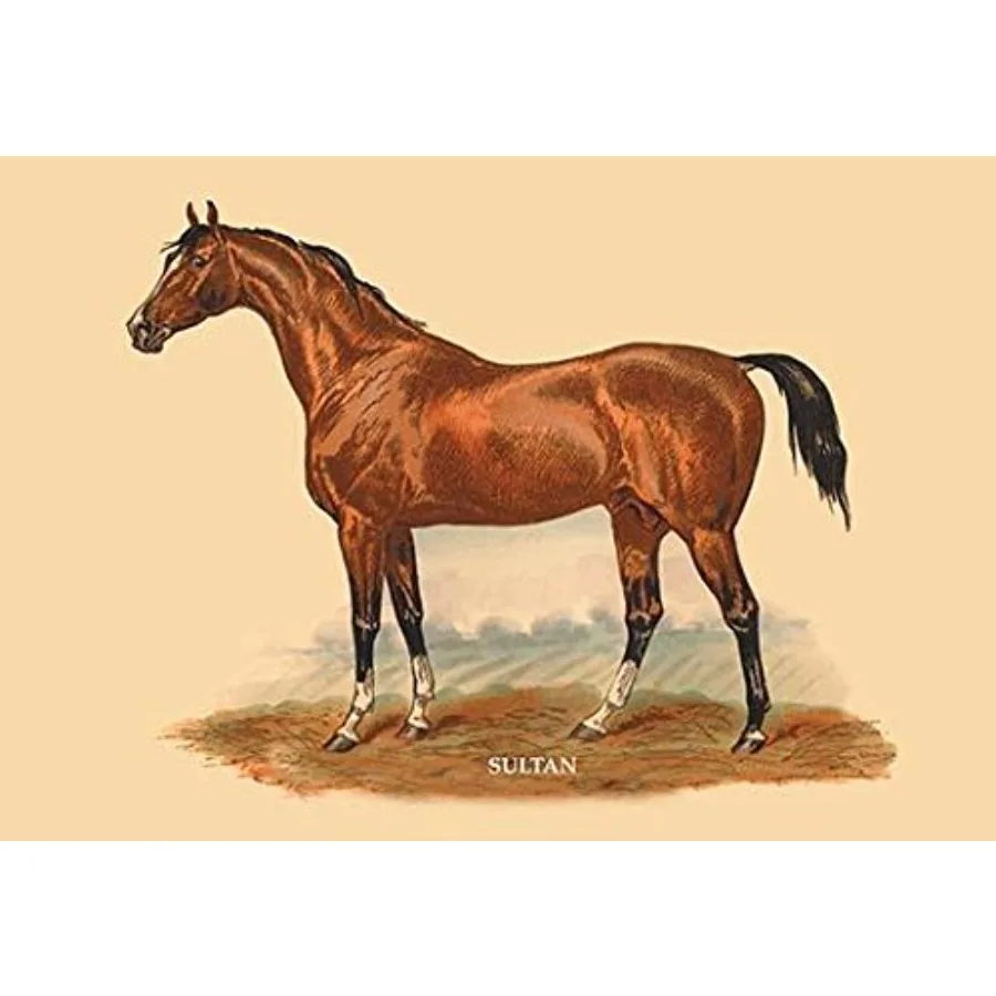 

Плакат с изображением знаменитых английских и французских скаковых жеребцов 1764-1887 годов, работа Л. Пеникота, 24 x 36 дюймов, для прослеживания родословной.