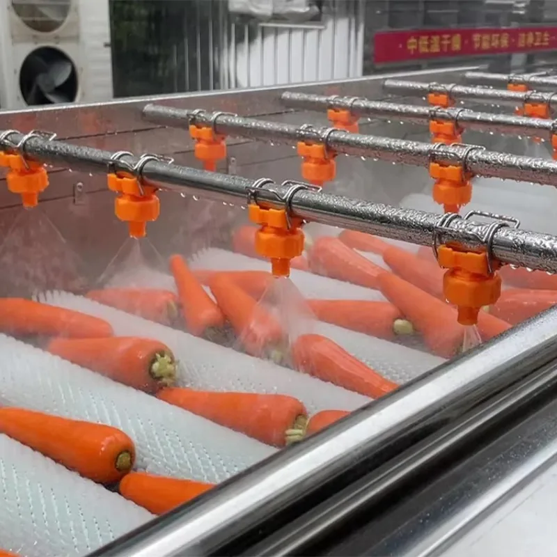 Fruit Vegetable Brush Washing Machine SS304 Bean Sprouts Potatoes Cleaning Equipment Custom
