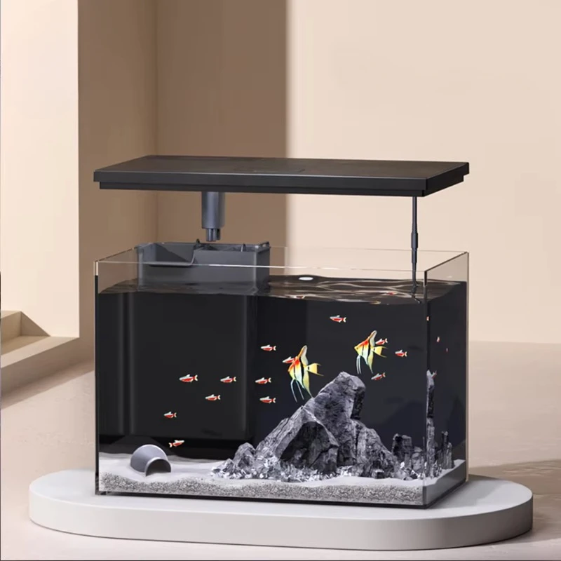 Desktop fish tank Microscopic ecology Koi fish Mini aquarium fish Nepall acrylic glass aquarium