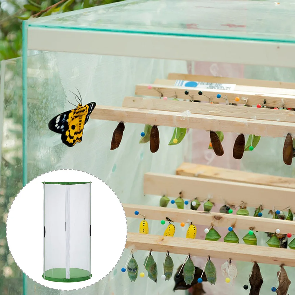 

Premium Butterflies Breeding Cage Transparent Lightweight Portable Mesh Cage for Insect Observation and Nature Exploration