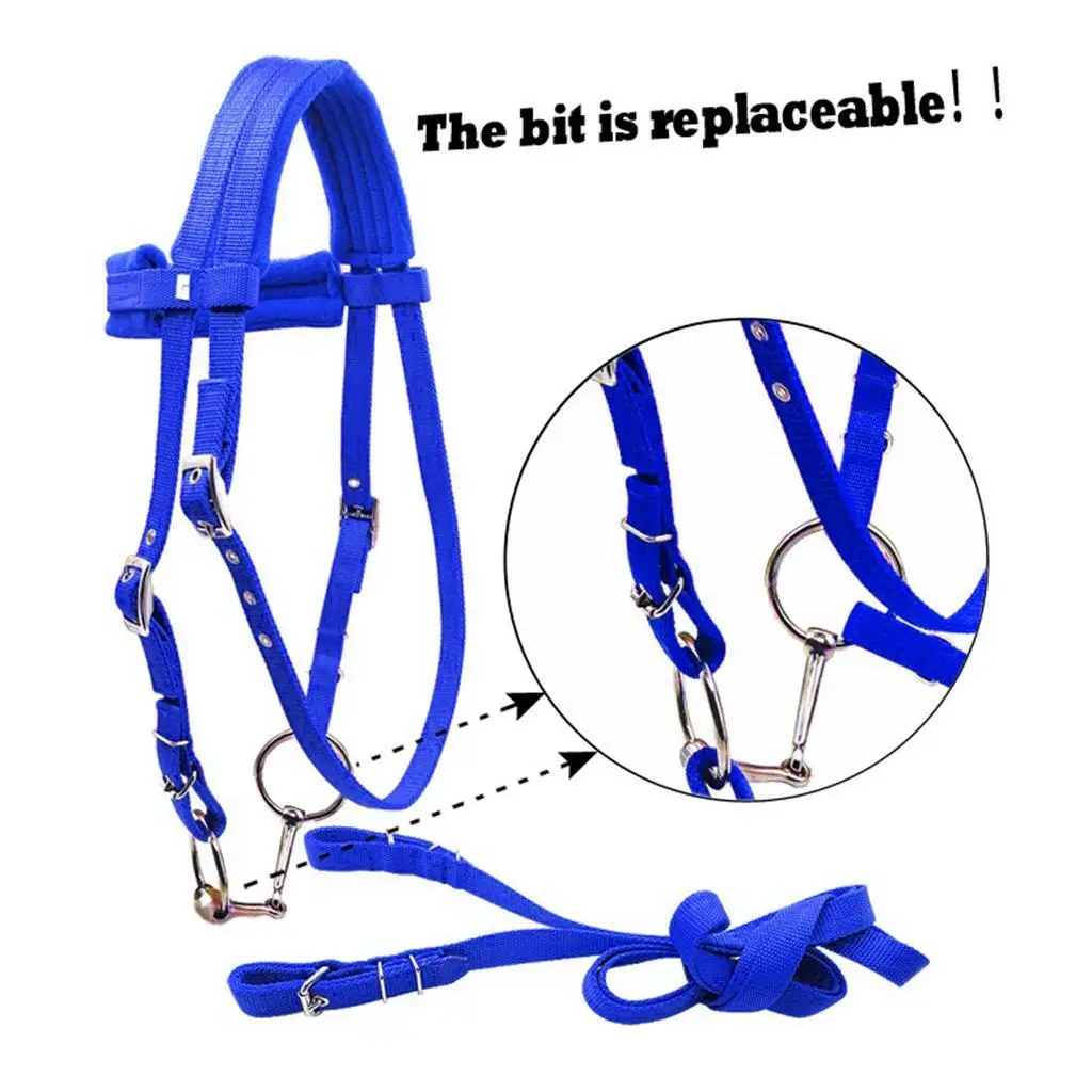 Horse Bridle Rein Harness Headstalls Removable Snaffle Nylon Webbing Blue M