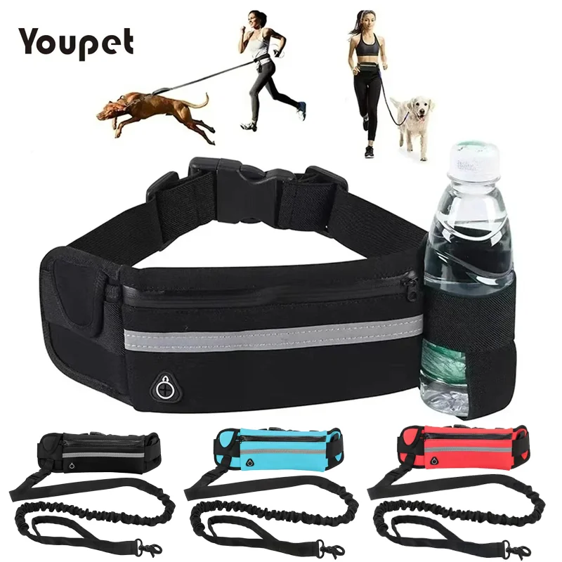 #85 Reflective Dog Leash Ranking List in 2026