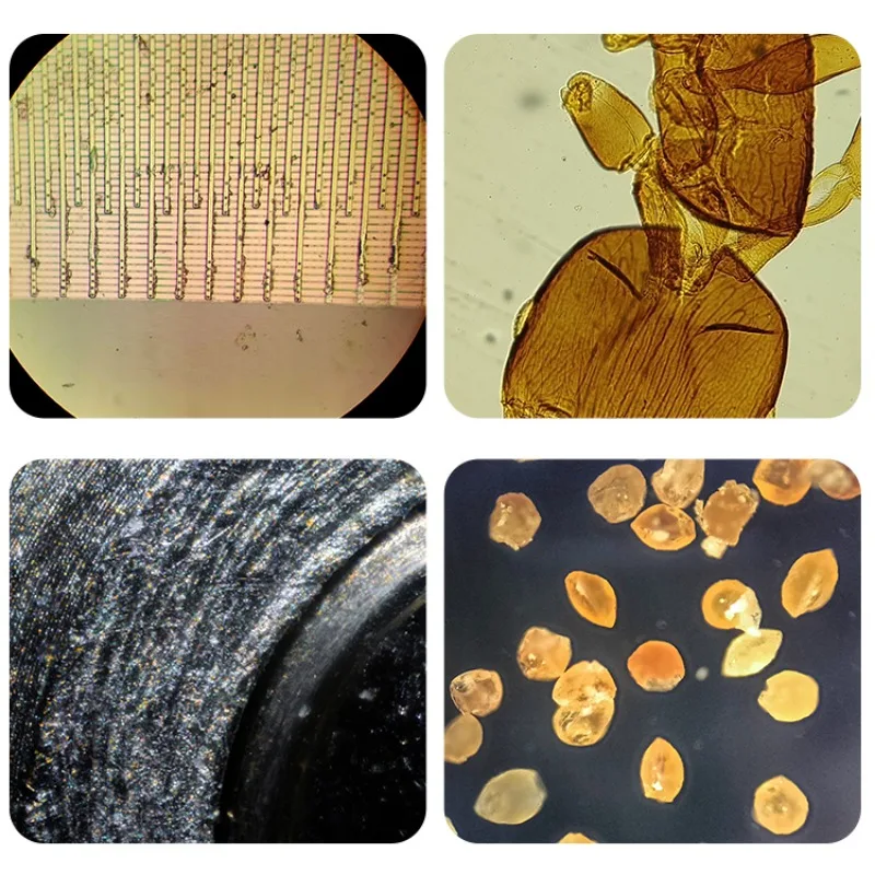 Metallurgical Plan Flour Semi-apochromatic Infinity Objective Long Working Distance Parfocal 60mm M26 Microscopio Accessories