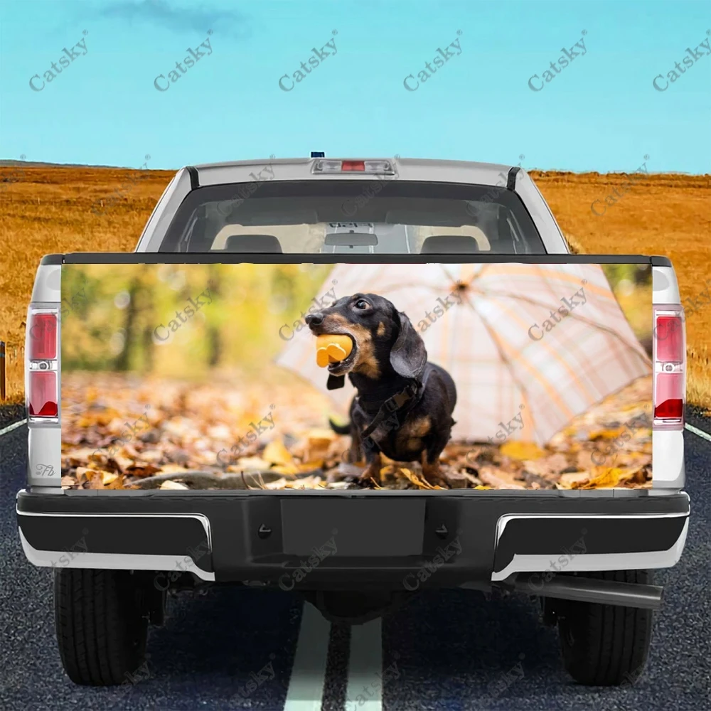 Dachshund Animal Car sticker rear car rear appearance modification package suitable for car truck sticker