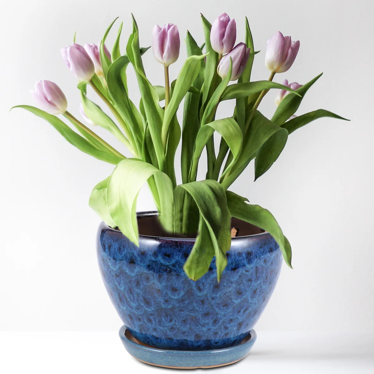 

1Set Succulent Flower Pot Ceramic with Tray Dark Blue Drainage Hole Planter for Home Office Succulent Cactus Flower Pot