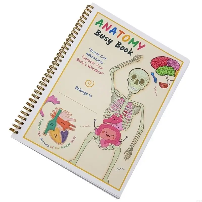 Corb Pratico Anatomia umana Libro impegnato portatile per bambini Guida completa ai sistemi del corpo per studenti Uso