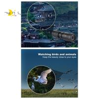 AF95-10-300X40 HD Zoom Monocular Telescope Mobile Telephoto Lens W/Tripod For Outdoor Camping Bird Watching Traveling