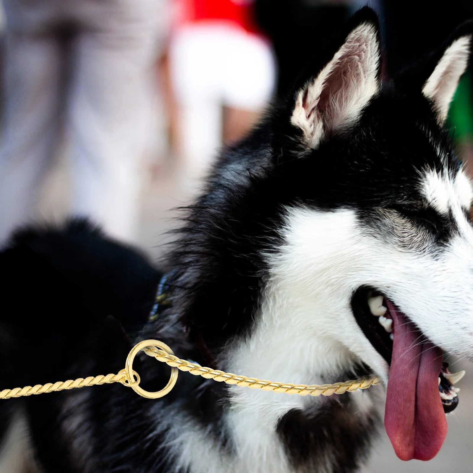 

Chain Leash for Dogs Stainless Steel Strong Anti Pull Traction Rope Lightweight Easy Carry for Daily Use Household Dog Supply