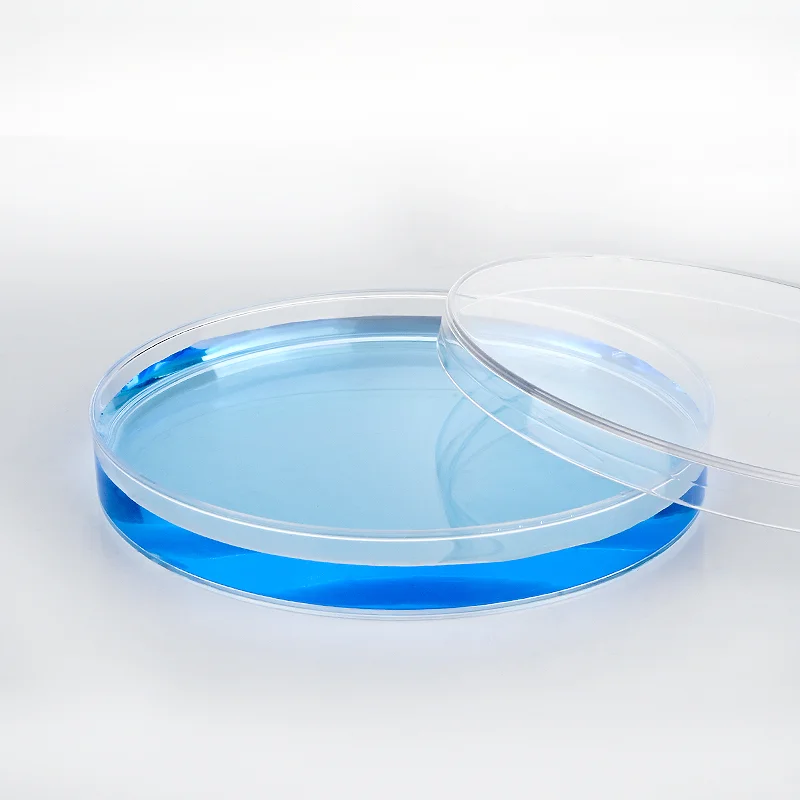 Disposable Plastic Contact Dish Contact Dish 55mm Surface Dish With Scale For Microbial Sampling Plant Contact Sterile Culture