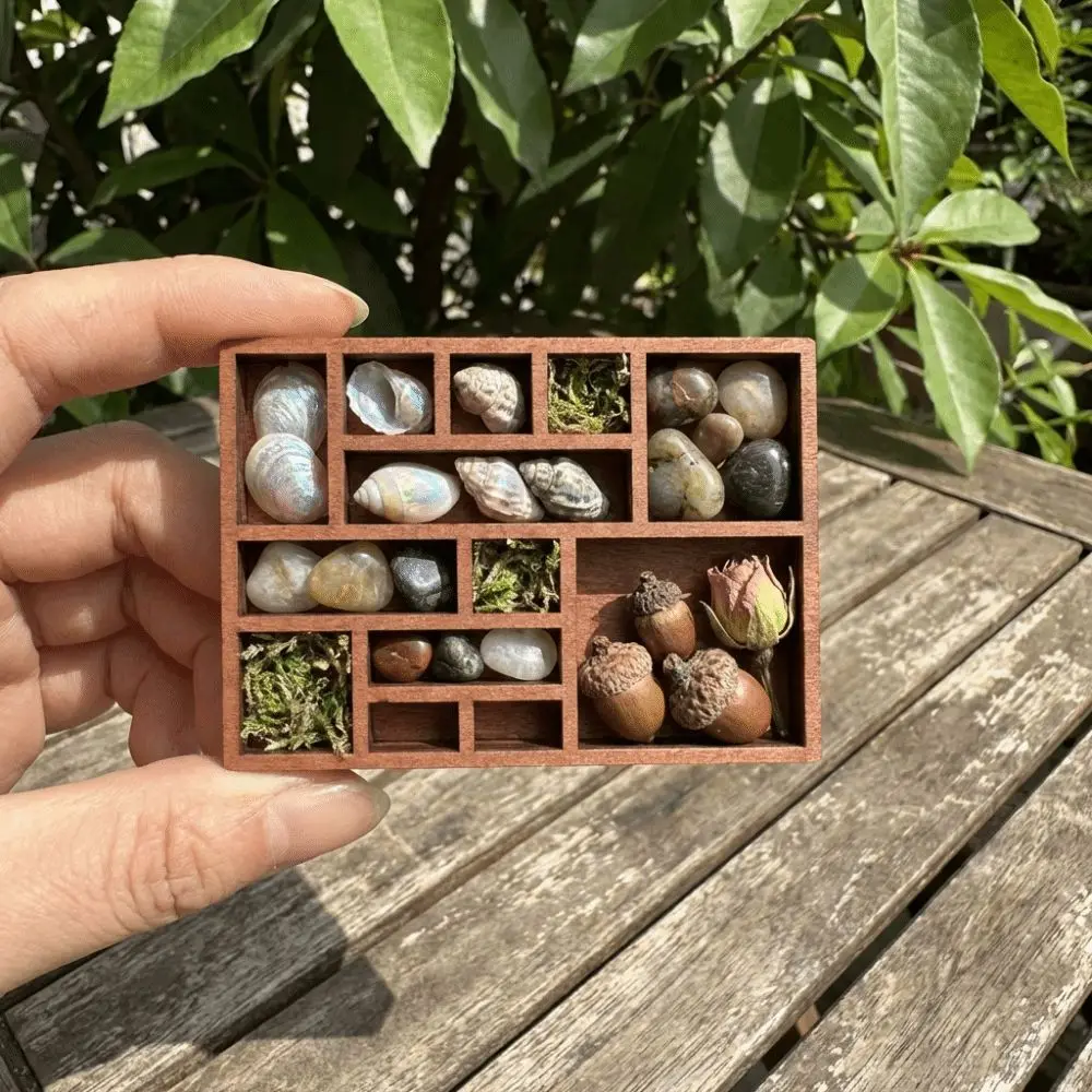 Wooden Mini Jewelry Holder Multi Compartments Miniature Crystal Miniature Trinket Shelf Ore Specimen Storage Goods Display Rack