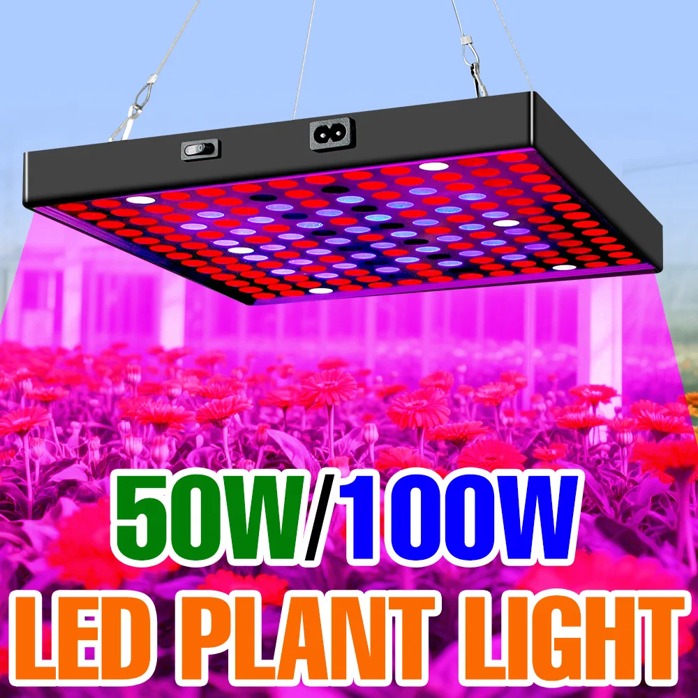 

100W LED Full Spectrum Grow Light Quantum Board Lamp Indoor Flowers Succulent Potted Plants Hydroponic Cultivation Fill Lighting