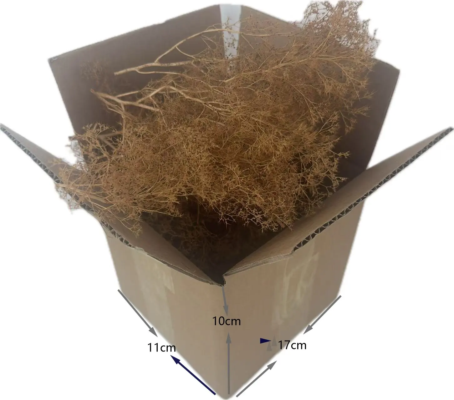 #66 Model Making Kits Comparison Guide