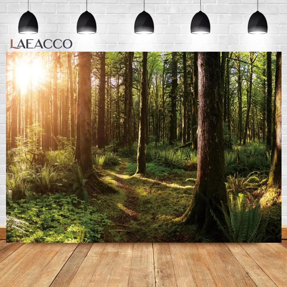 خلفية تصوير الغابات الاستوائية ، الربيع ، الغابة ، المطر ، الأوراق الخضراء ، المناظر الطبيعية الخلابة ، ديكور الغرفة ، الخلفيات ، استوديو الصور