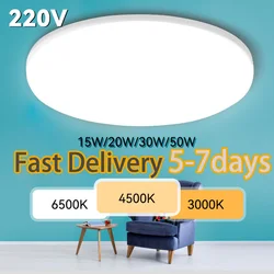 Modern Ceiling Light LED Ceil Light 15W 20W 30W 50W Led Ceiling Lamp for Living Room Bedroom Kitchen Indoor Lighting Fixture