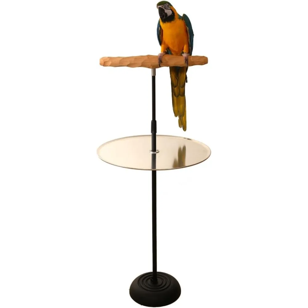 

Parrot Training Perch Stand with Potty Tray (T Perch, XL)