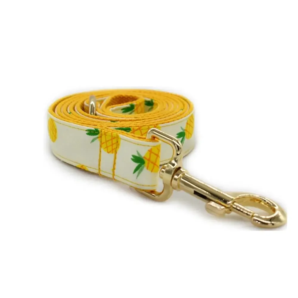 Personalized Pineapple Pet Collar Puppy Cat ID Tag Adjustable Custom Name Gold Buckle Orange Fruit Basic Dog Collars Leash