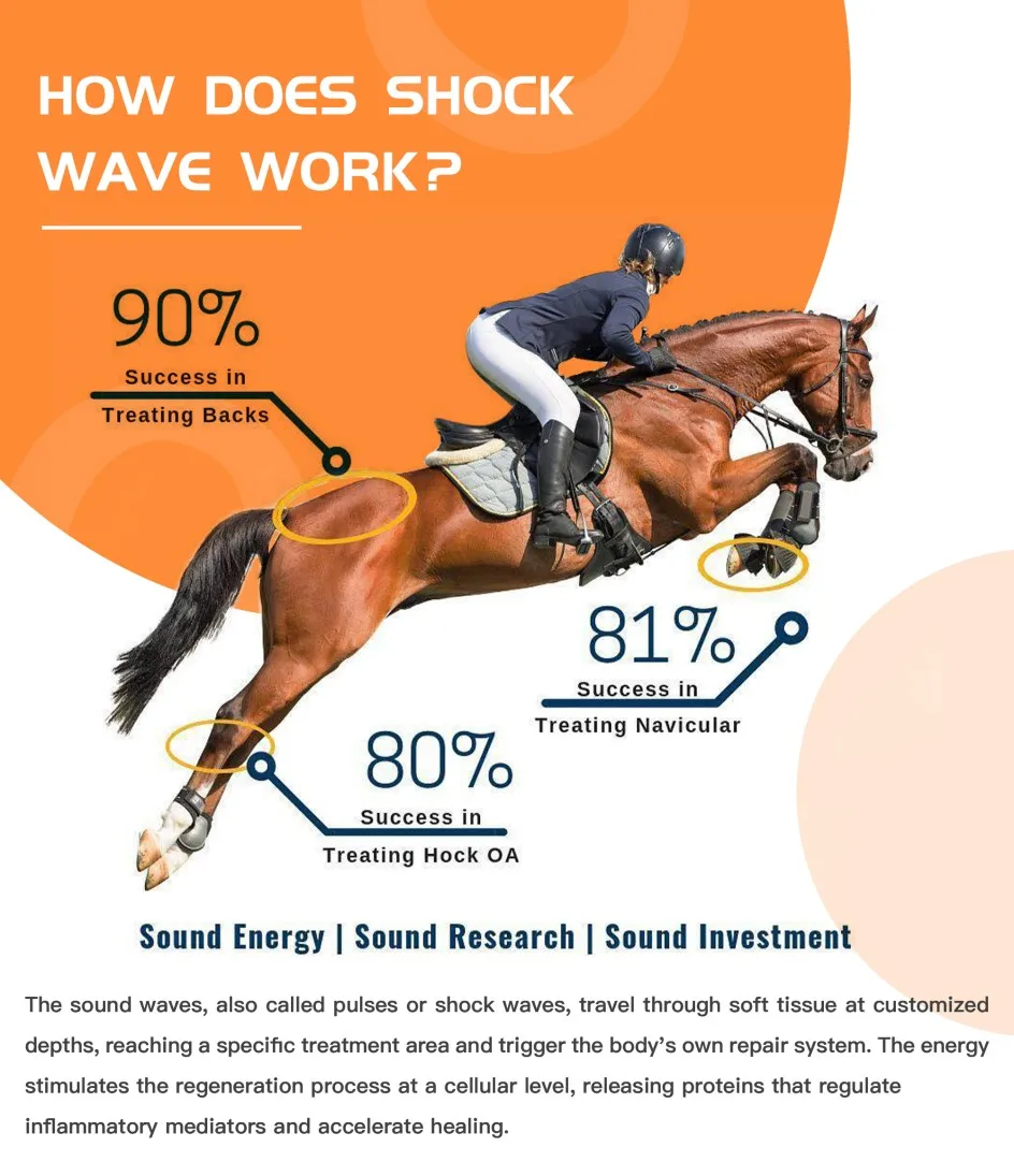 Urządzenia do fizjoterapii Końska maszyna do fal uderzeniowych Narzędzie do masażu powięzi Sprzęt do fizykoterapii do łagodzenia bólu