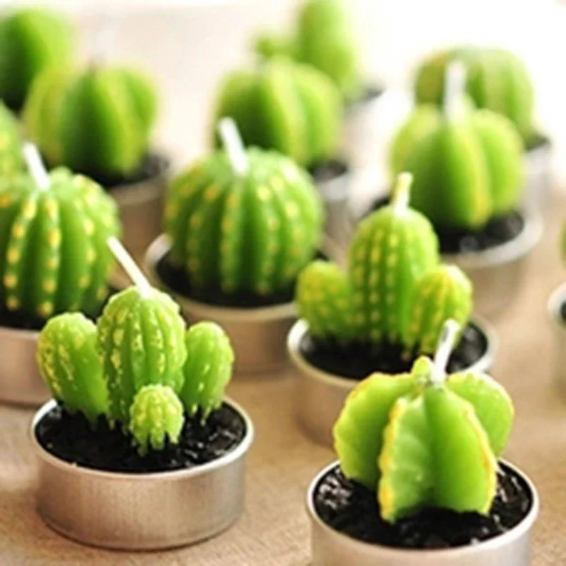 6 Creative Scented Candles in Sets Mini Cactus Meaty Birthday Candle Personalized Instagram Style Smokeless Hand Gift Candle