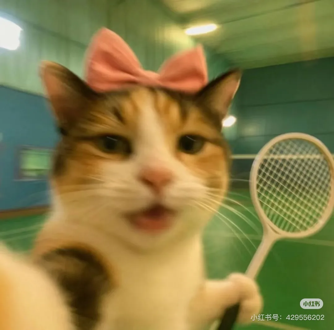 Draagbare NEO-apparatuur Afslankmachine Ultrasone cellulitis Rimpelverwijdering Face Lift 2 handgrepen Ultra 360 vetverminderende machine