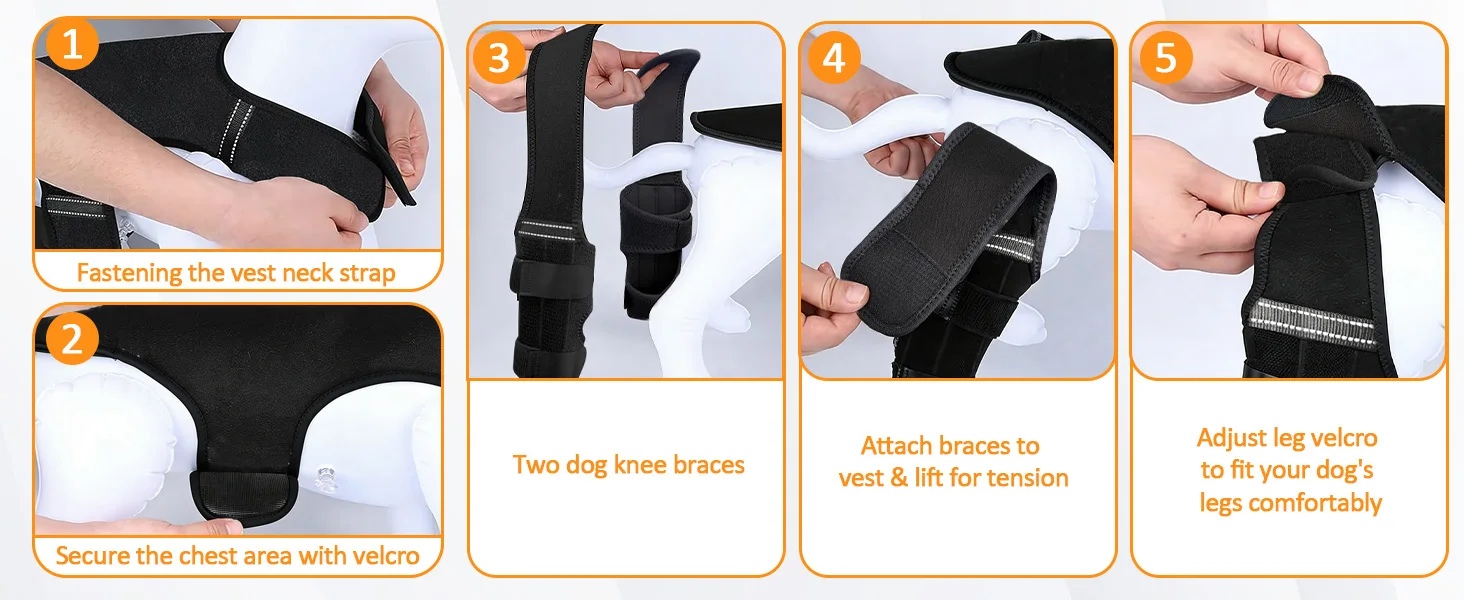 dog knee braces for back leg