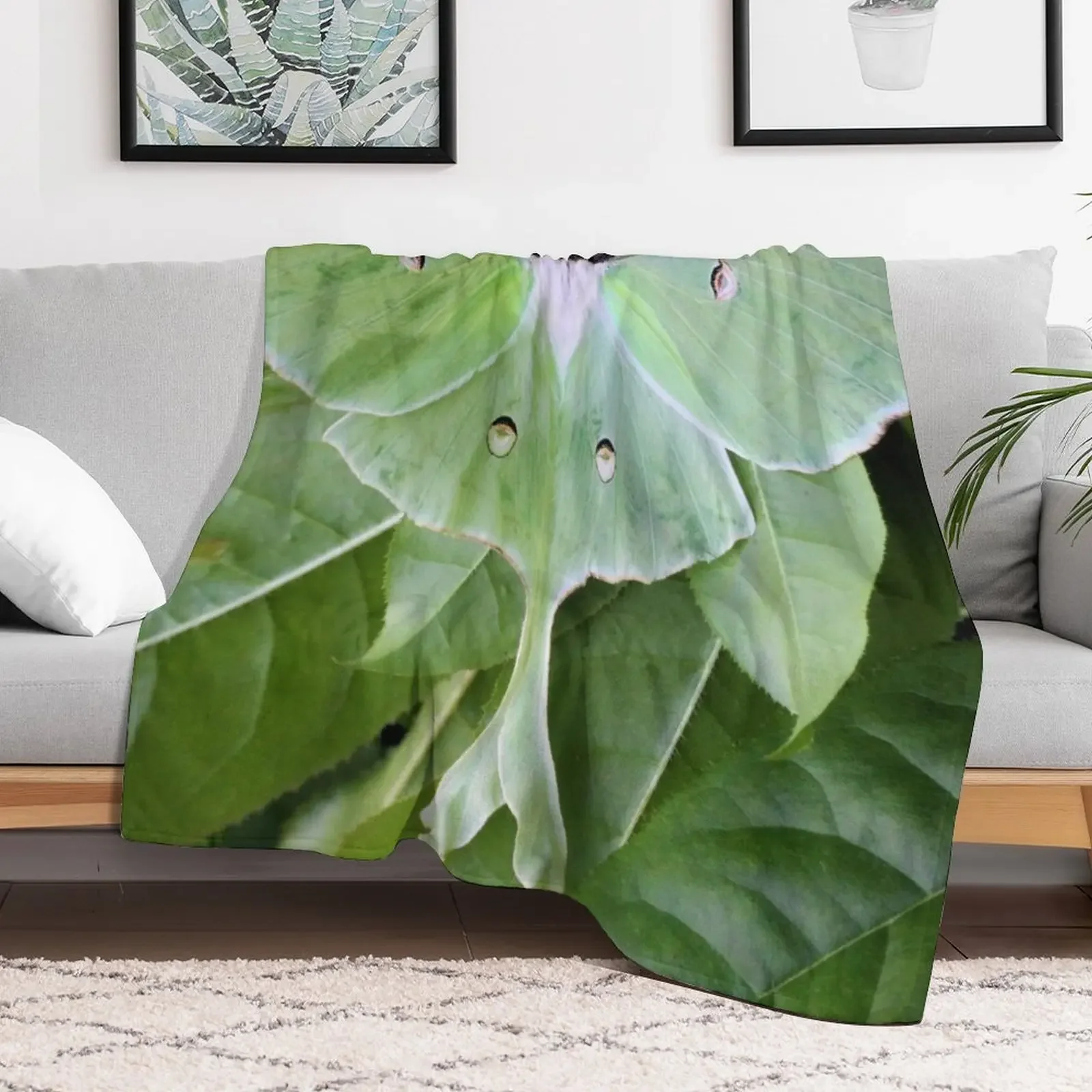 Luna Moth Throw Blanket Travel Size Cozy Blanket for Plane Train
