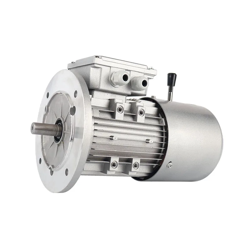 High Efficiency 3-Phase 380V AC Aluminum Motor Three Phase Asynchronous Motor With Brake