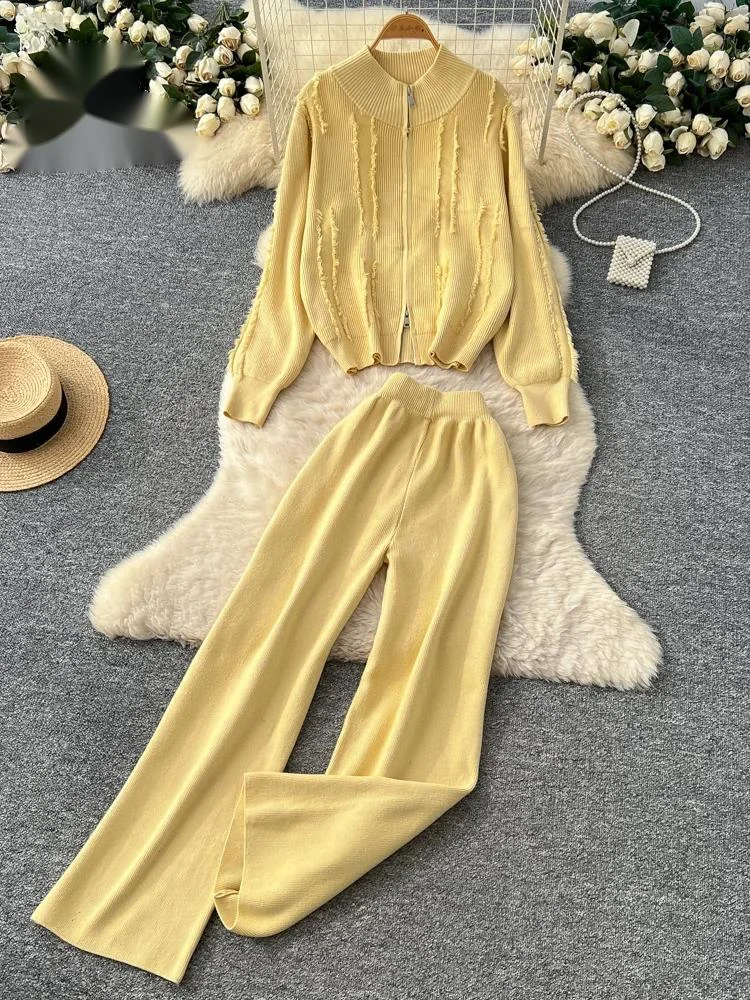 

Толстые трикотажные комплекты с нечеткими кисточками, свободный топ на молнии с длинными рукавами + эластичные широкие брюки, осенние шикарные базовые комплекты из 2 предметов