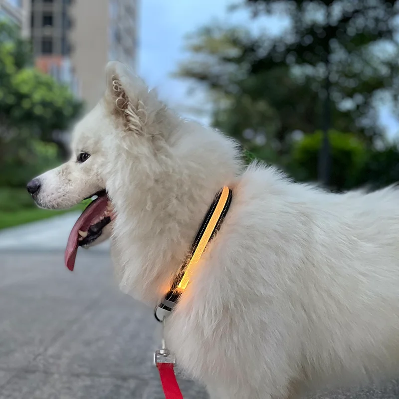 Led Dog Collar Bluetooth APP Multiple RGB Colors Light Up Dog Collar USB Rechargeable Waterproof Dog Collar Light for Night Safe