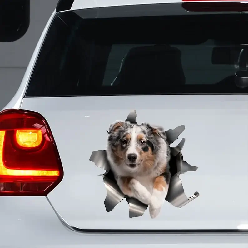 Aussie car sticker, Aussie decal, Aussie magnet, Australian Shepherd decal