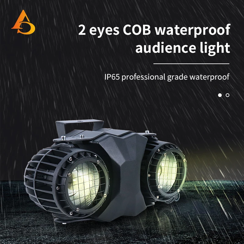 2x100w Waterproof Outdoor Blinder Led CobLight Cold White/Warm White 2in1 COB LEDs Control Optional Individually 2x100W Audienc