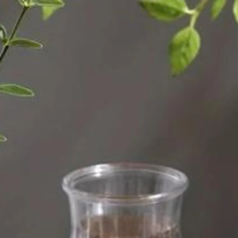 Clear PET Diamond-Pattern Vase, 15x8cm, Shatterproof, For Hydroponics & Fresh Flowers