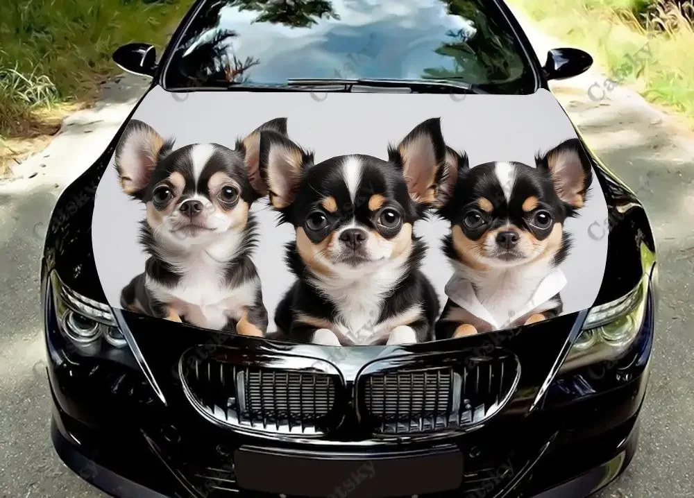 

Виниловые наклейки на капот автомобиля Chihuahua Family, виниловая пленка, наклейки на крышку двигателя, универсальная защитная пленка на капот автомобиля