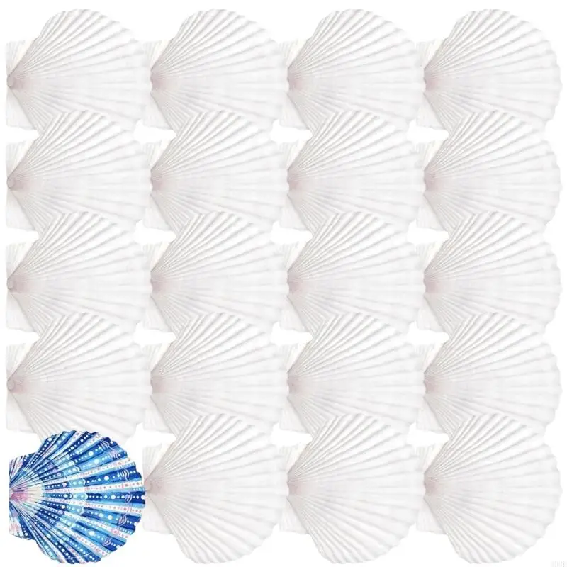 20 Stück natürliche weiße Muscheln, bemalbare natürliche Muscheln zum Handmalen und Kuchenbacken, Dekoration, Schule, B03E – Detail 8