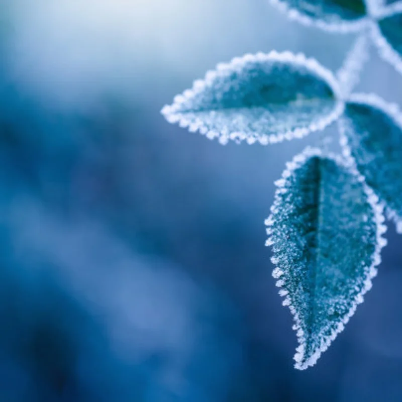 

Lipo Battery Safety Bag Portable Explosion-proof Fireproof Storage Bag With Safe Guard 215*145*165mm Size For RC Drone Batteries