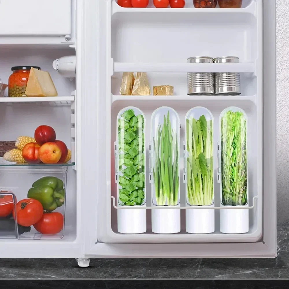 Herb Saver Premium Herb Storage Keeps Greens Vegetables Fresh Premium Herb Keeper Clear Spice Fridge Preserver Storage