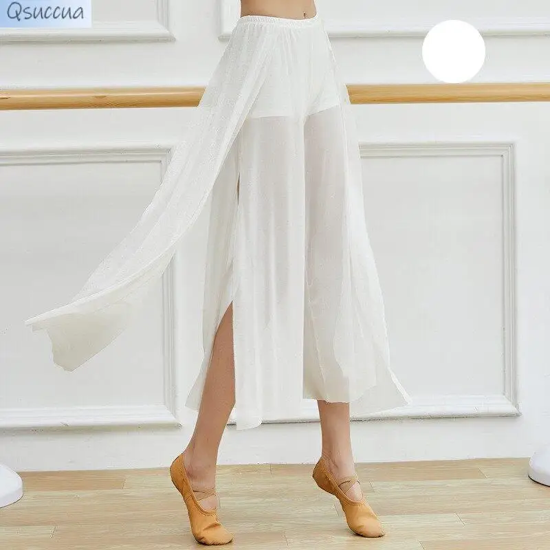 Classical Dance Practice Mesh Pants Sideways Rhyme Yoga Modern Dance Adult Split Elegant Wide-Leg Pants Women